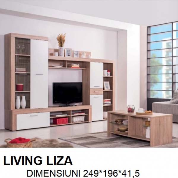 LIVING LIZA